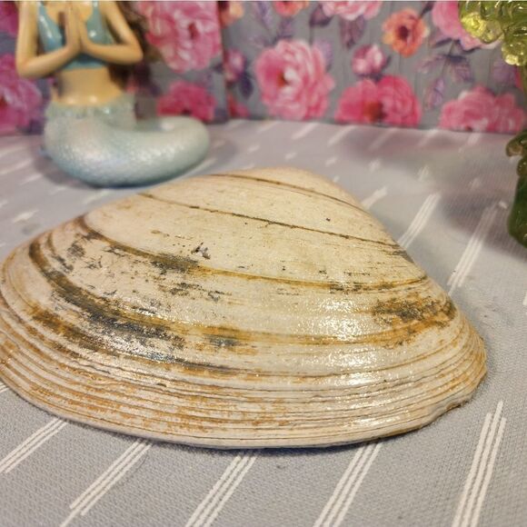 DECOUPAGE CLAM SHELL DECOUPAGE FLOWERS TRINKET DISH - Picture 10 of 11